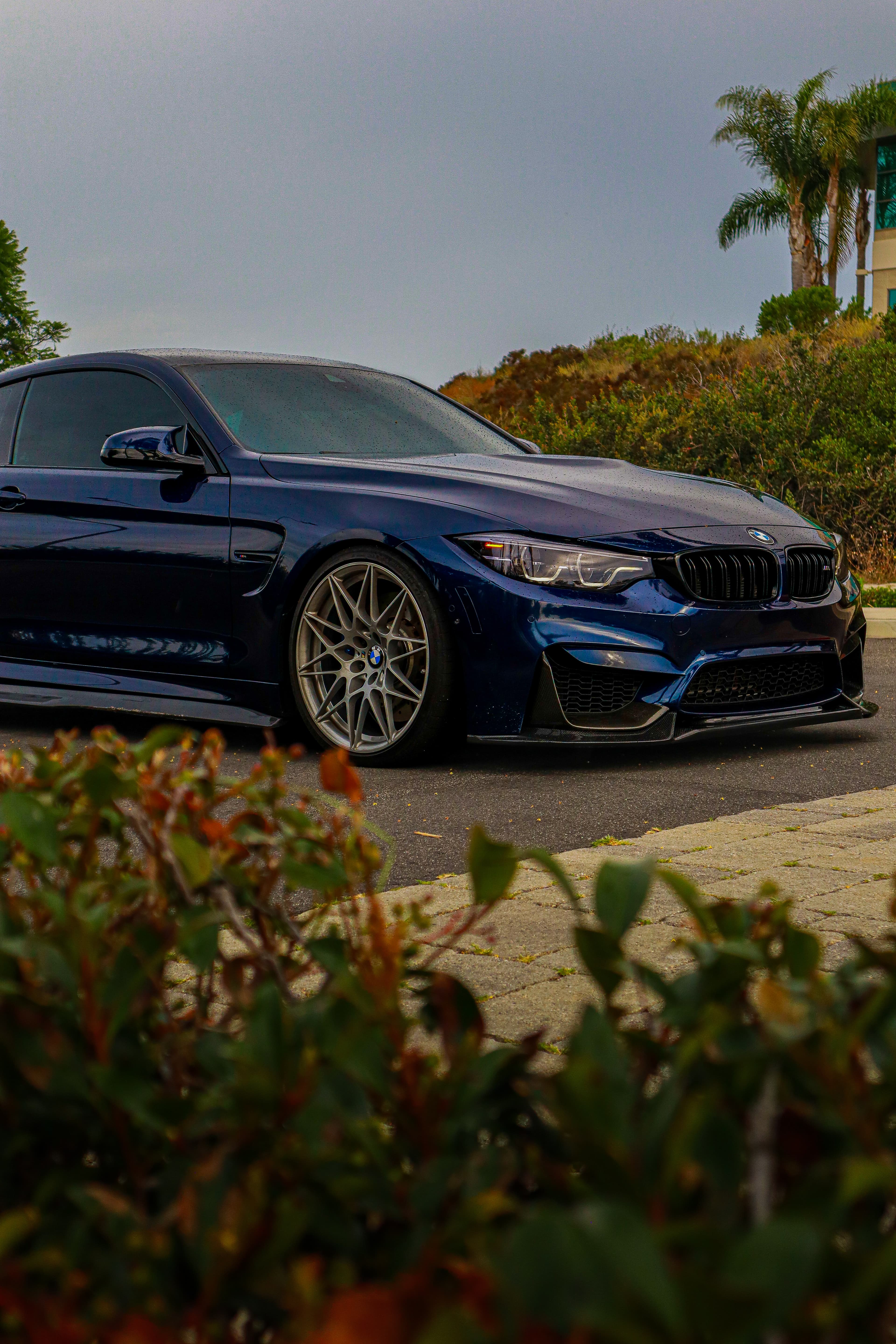 BMW M4 — Natural